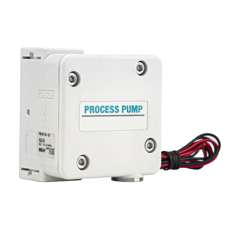 Bomba de proceso PB1011
